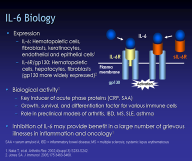 Graphical Slides1
