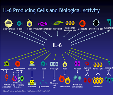 Graphical Slides2
