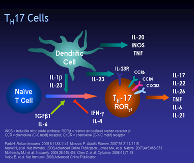 Graphical Slides3