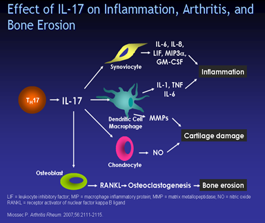 Graphical Slides4